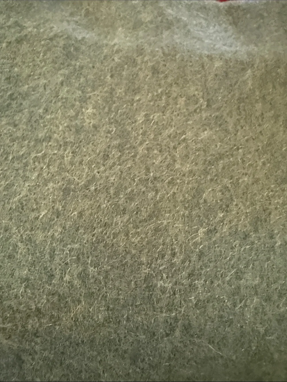 Quince Mongolian Cashmere Throw - Green, 50x70 - Retail $164